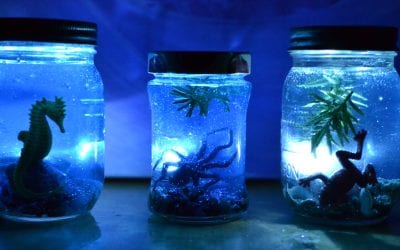 Underwater I Spy Jars