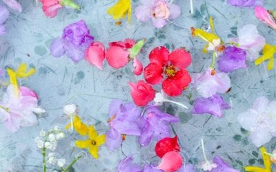 Flower Sensory Bin for Kids