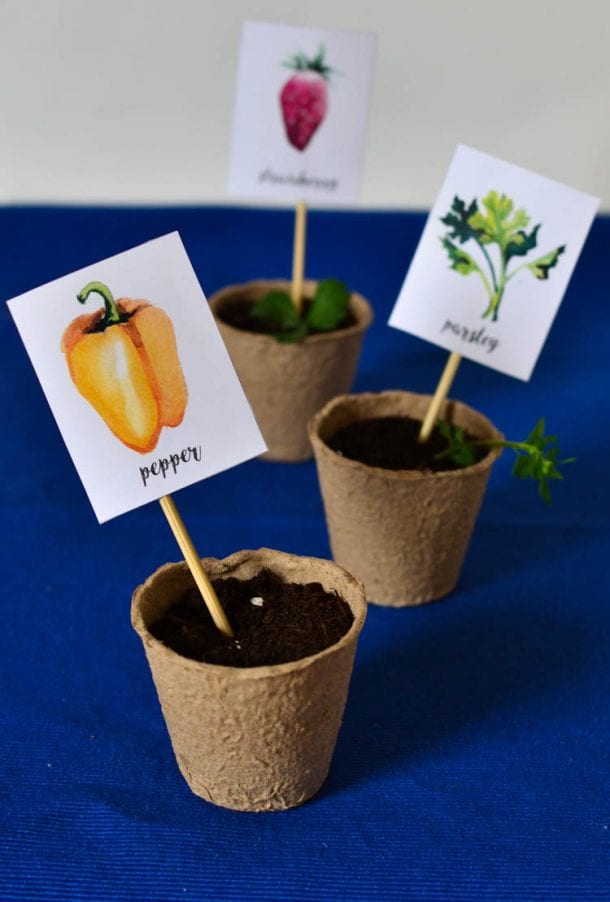 Free Printable Watercolour Garden Markers