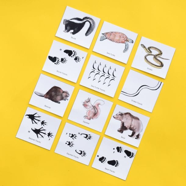 Animal Tracks: Printable Game for Kids | Adventure in a Box