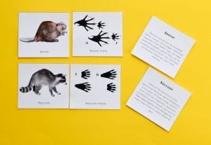 Animal Tracks: Printable Game for Kids | Adventure in a Box