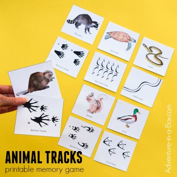 Animal Tracks Printable Game for Kids Adventure in a Box