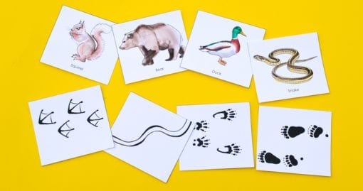 Animal Tracks: Printable Game for Kids | Adventure in a Box