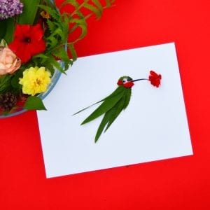 Bird Bundle | Adventure in a Box