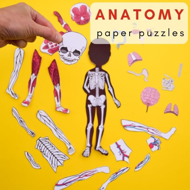 Printable Anatomy Puzzles for Kids Adventure in a Box