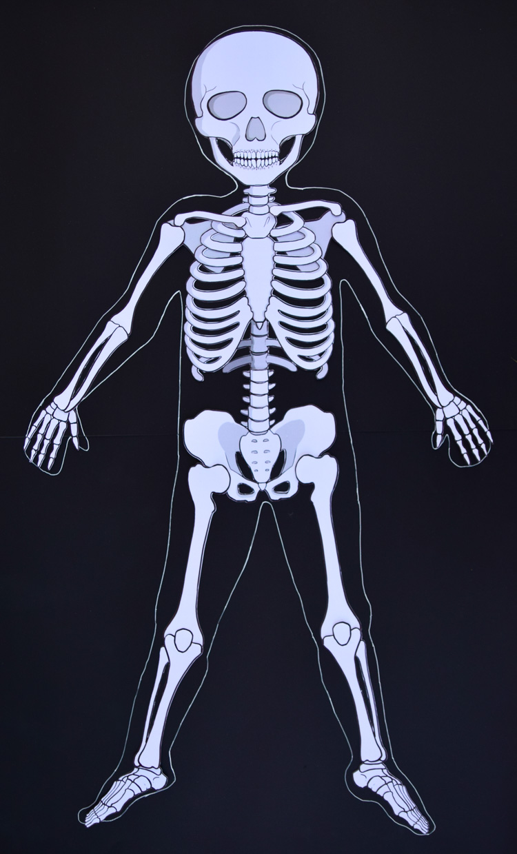 Free Life Size Printable Skeleton Printable Templates