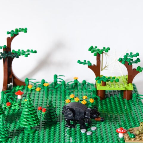 LEGO Animal Habitats Pack | Adventure in a Box