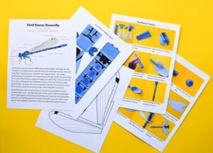 Real Paper Insects how-to-make-paper-insects-0671 | Adventure in a Box