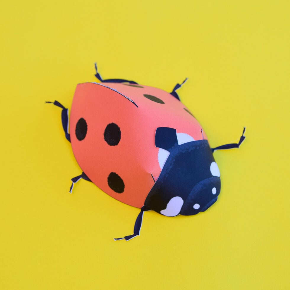 How to Make 3D Paper Insects with Printable Templates