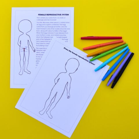 Anatomy for Kids: Advanced Systems Unit Study | Adventure in a Box