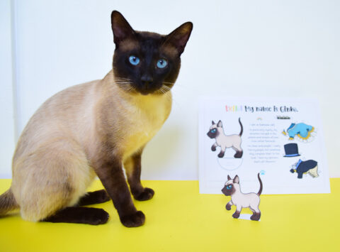 10 Printable Cat Paper Dolls