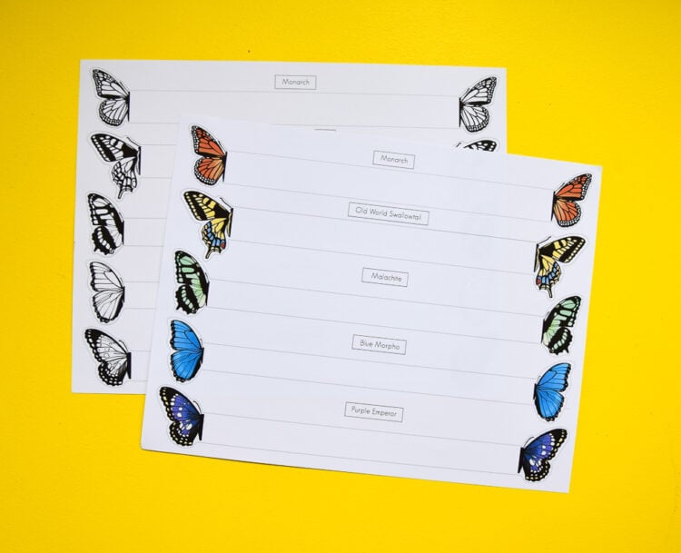 3D Butterfly Bookmark Templates - Image 6