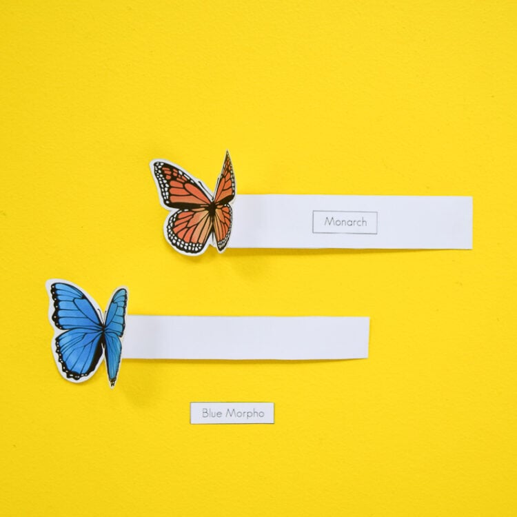 3D Butterfly Bookmark Templates - Image 7
